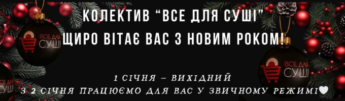 З новим роком